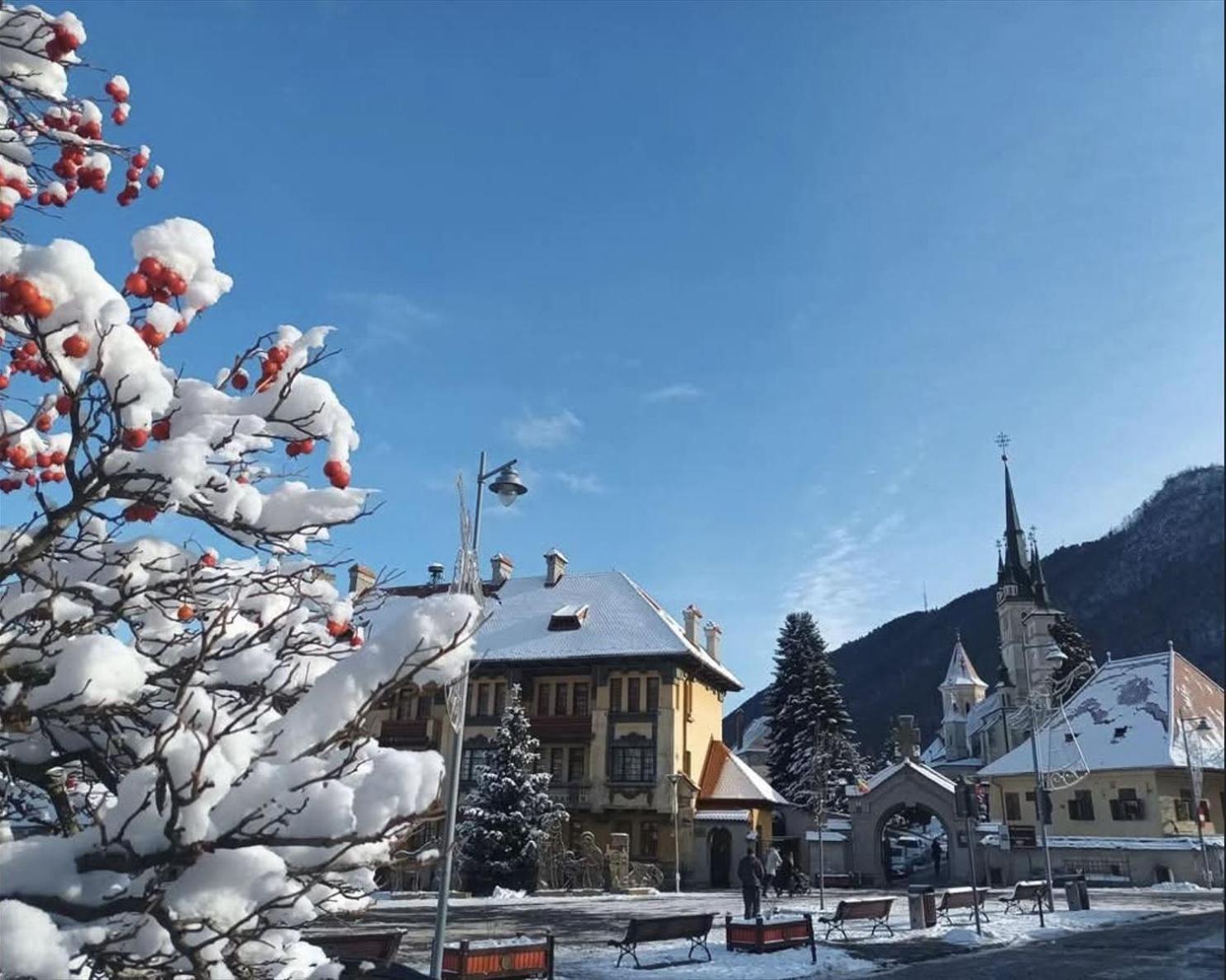 Tinyhouse Brașov